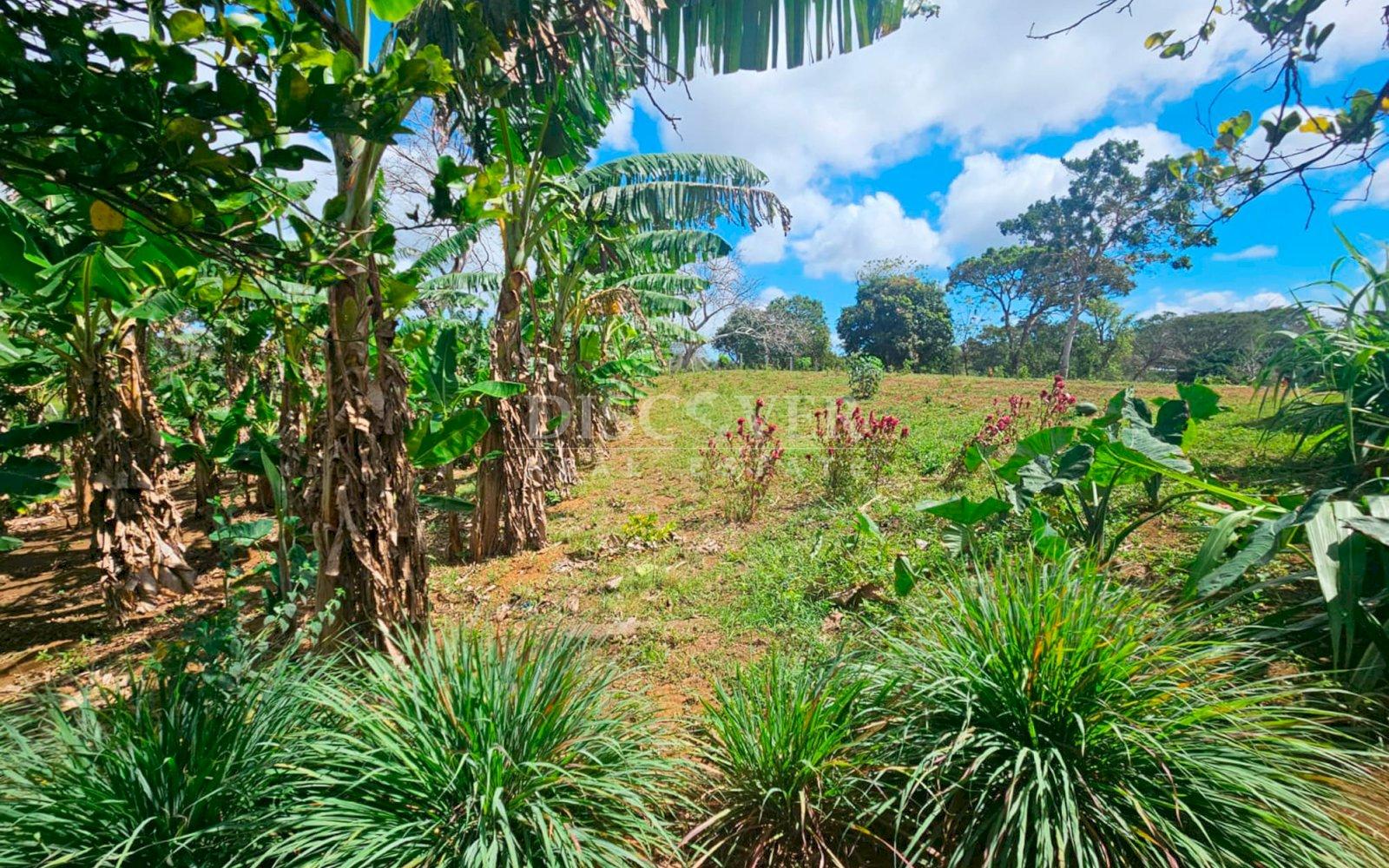 https://images.discovernica.com/propiedad/1600/ID14063_1.jpg