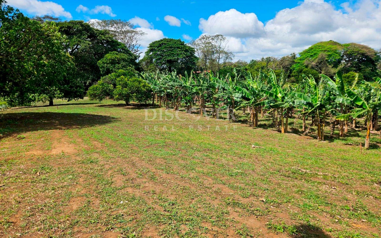 https://images.discovernica.com/propiedad/1600/ID14063_2.jpg