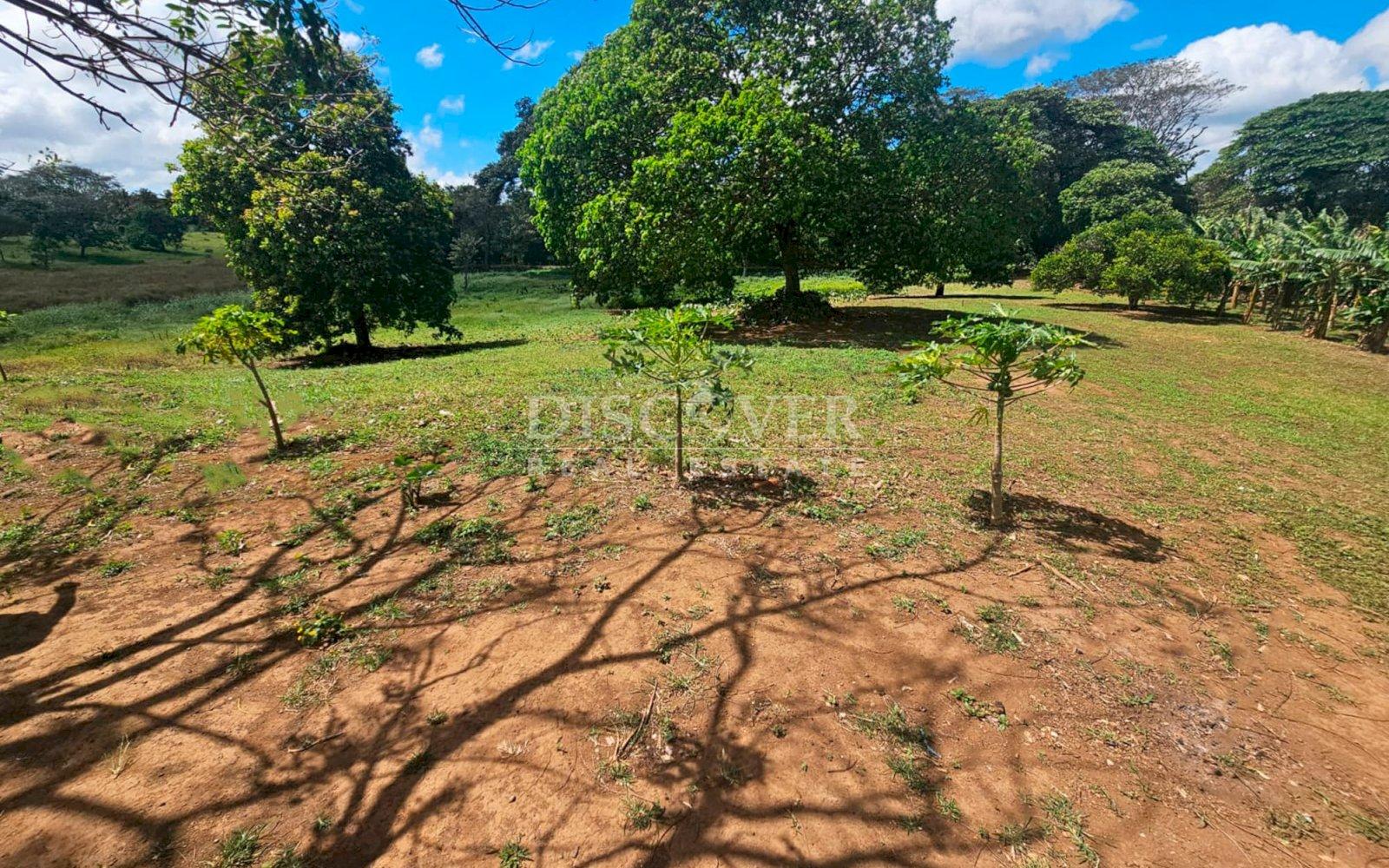 https://images.discovernica.com/propiedad/1600/ID14063_3.jpg