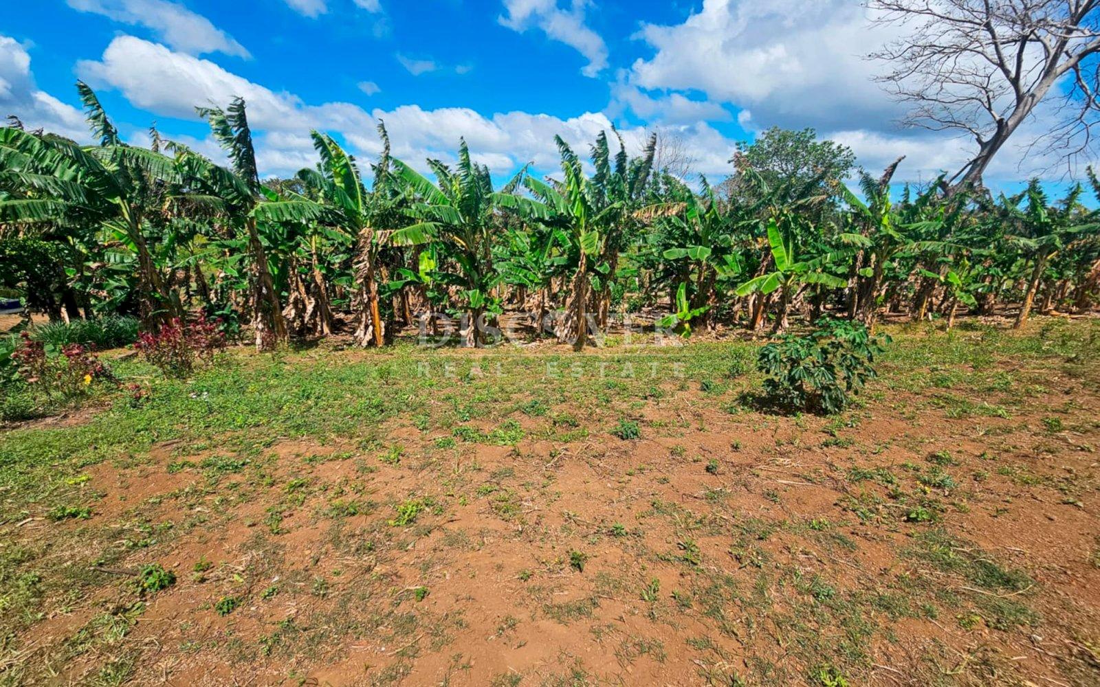 https://images.discovernica.com/propiedad/1600/ID14063_4.jpg