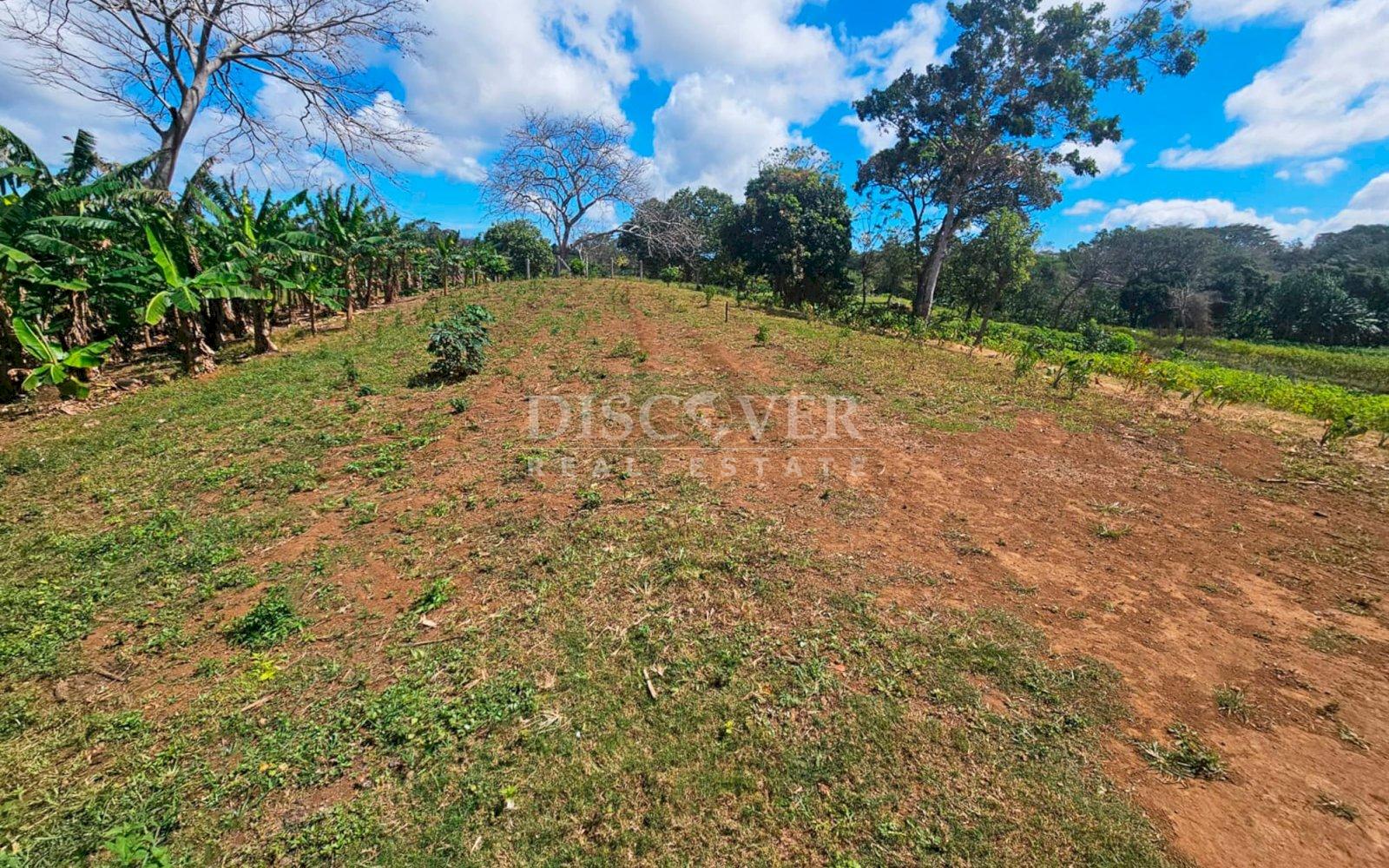 https://images.discovernica.com/propiedad/1600/ID14063_6.jpg