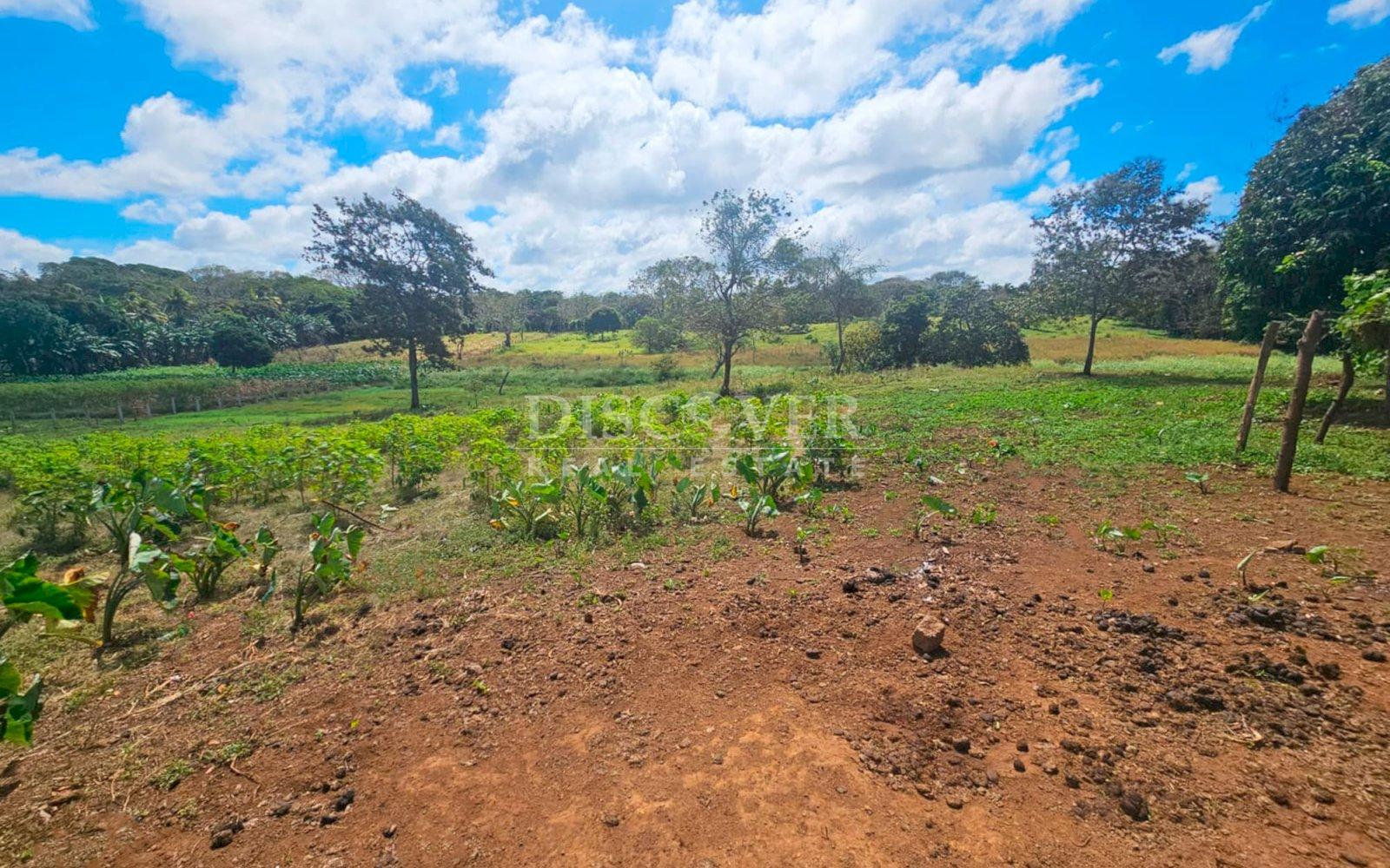 https://images.discovernica.com/propiedad/1600/ID14063_7.jpg