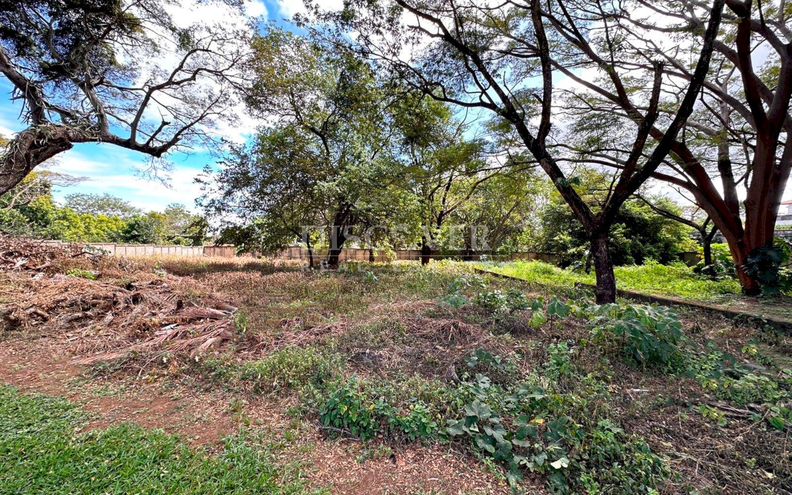  Land for sale in Santo Domingo