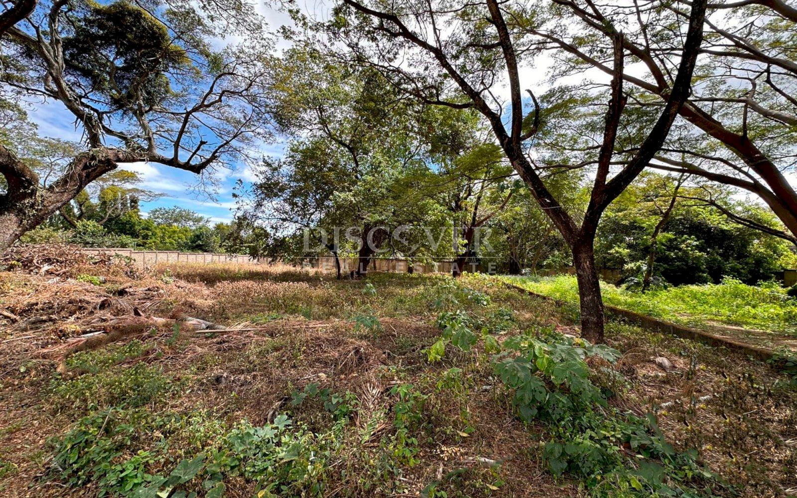  Land for sale in Santo Domingo