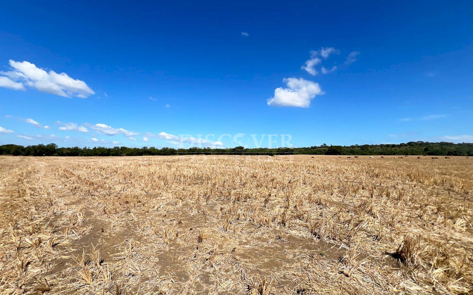  Land for Sale in Sabana Grande