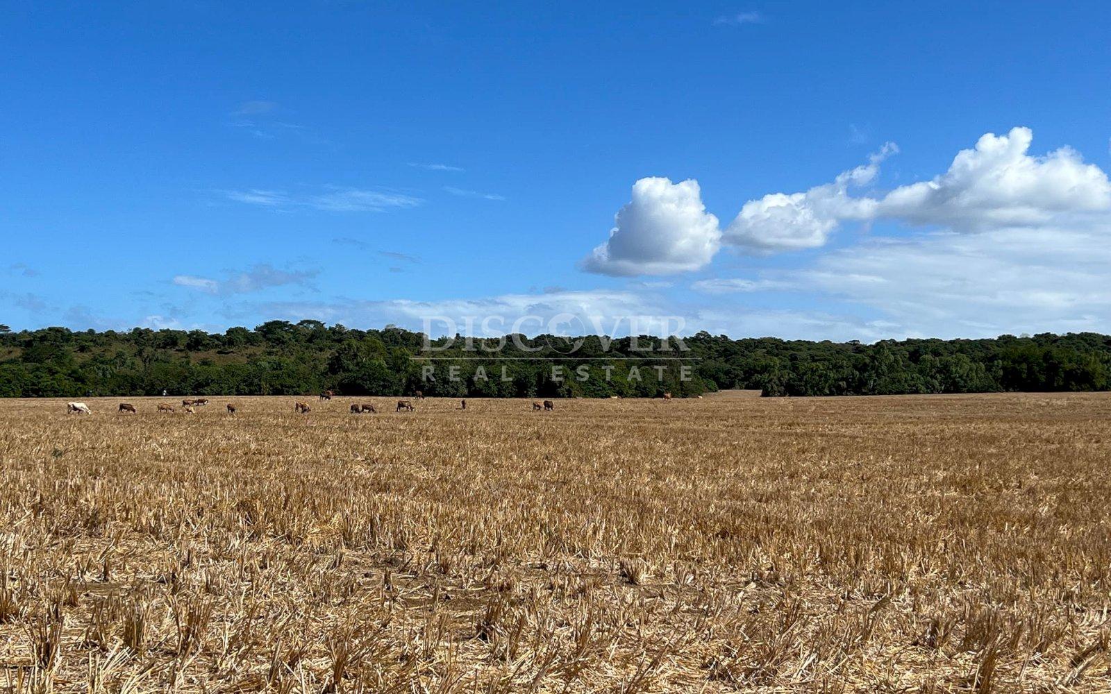  Land for Sale in Sabana Grande