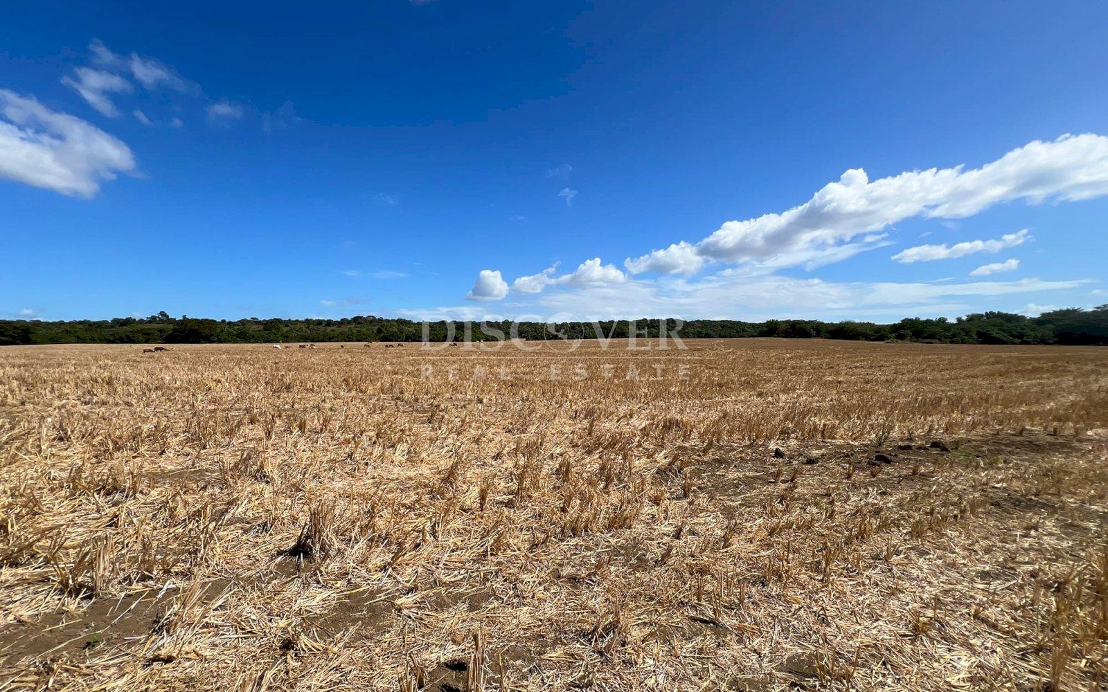  Land for Sale in Sabana Grande