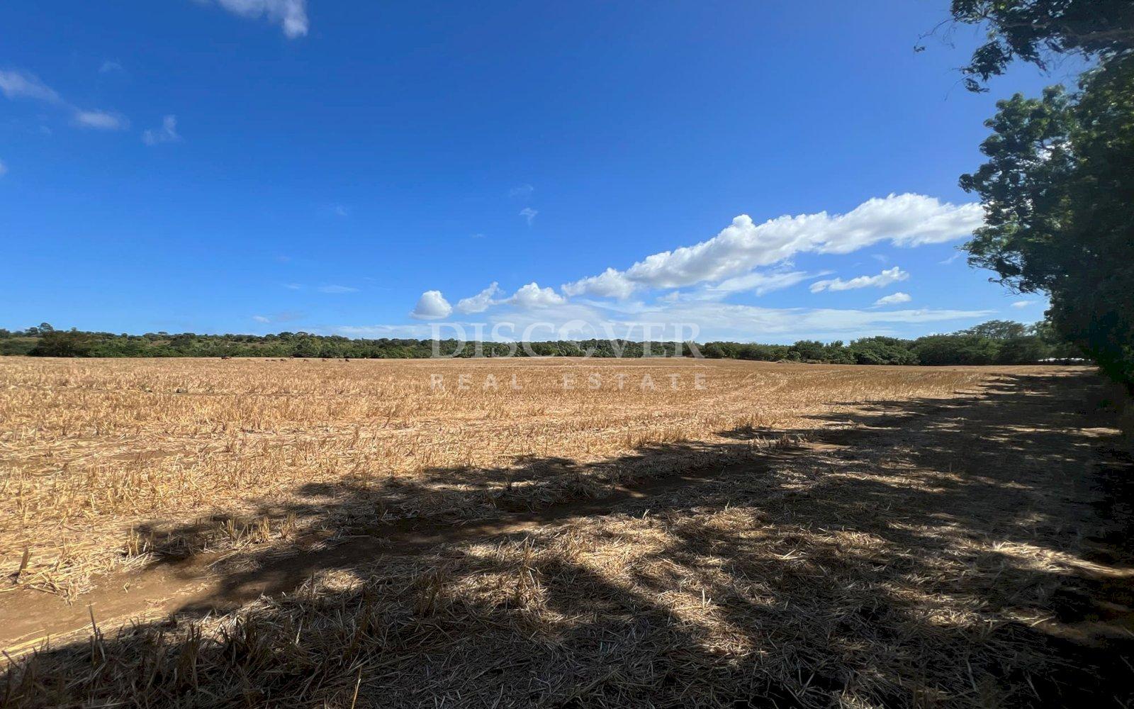  Land for Sale in Sabana Grande