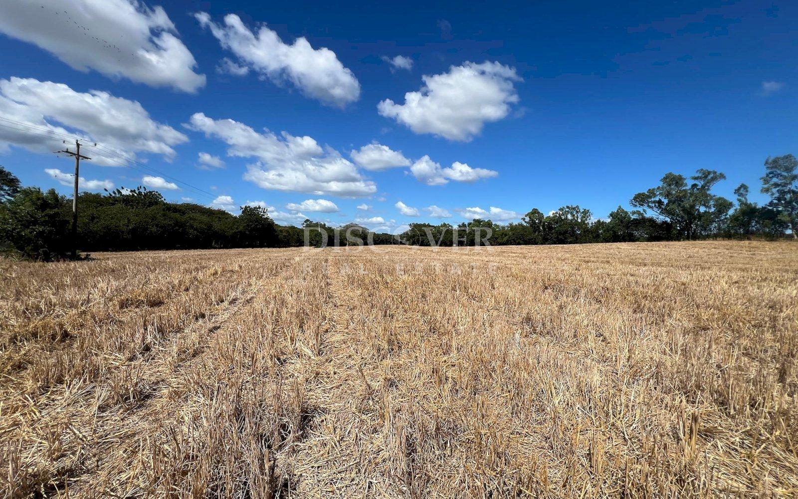  Land for Sale in Sabana Grande