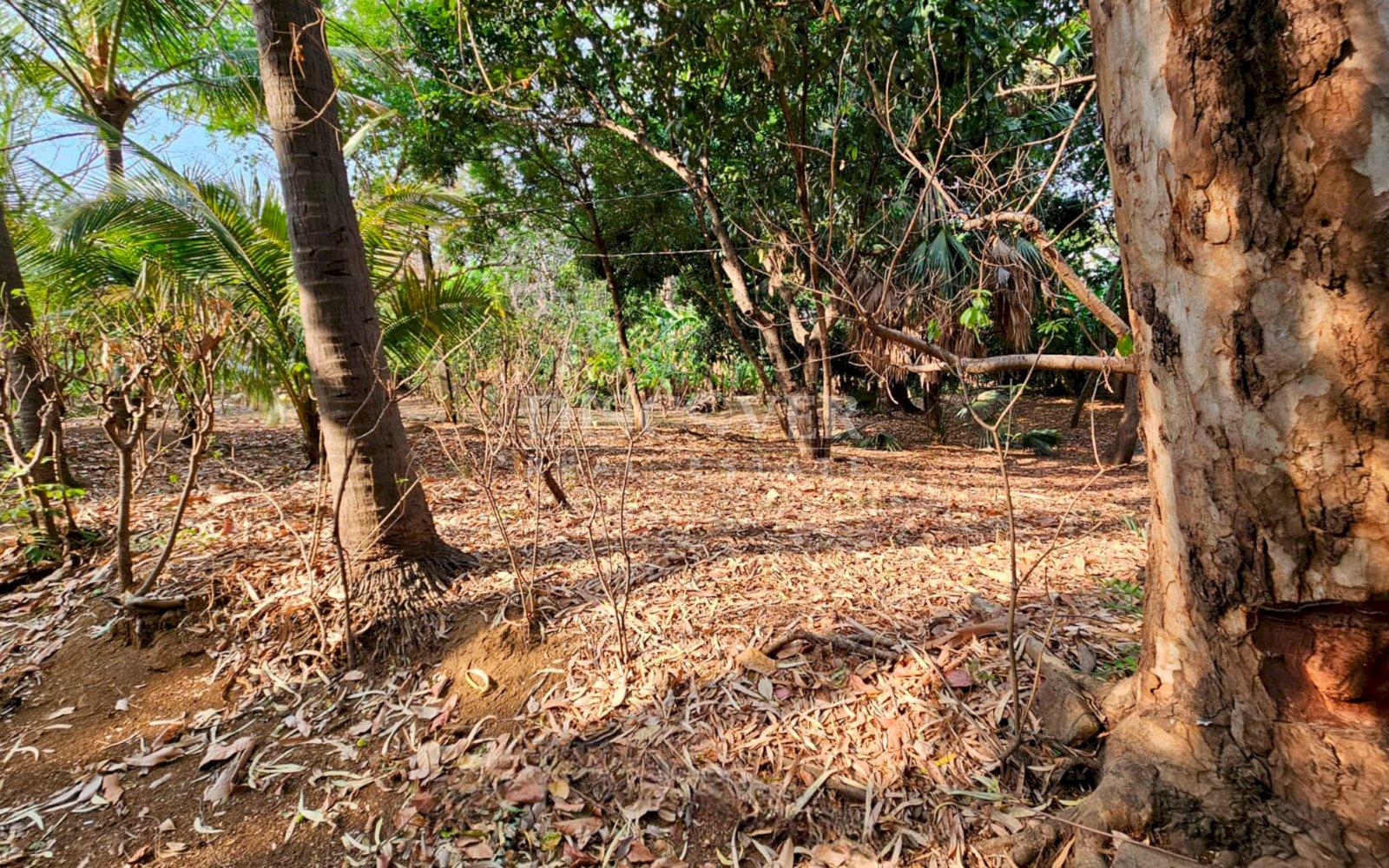  Land for sale in Santo Domingo