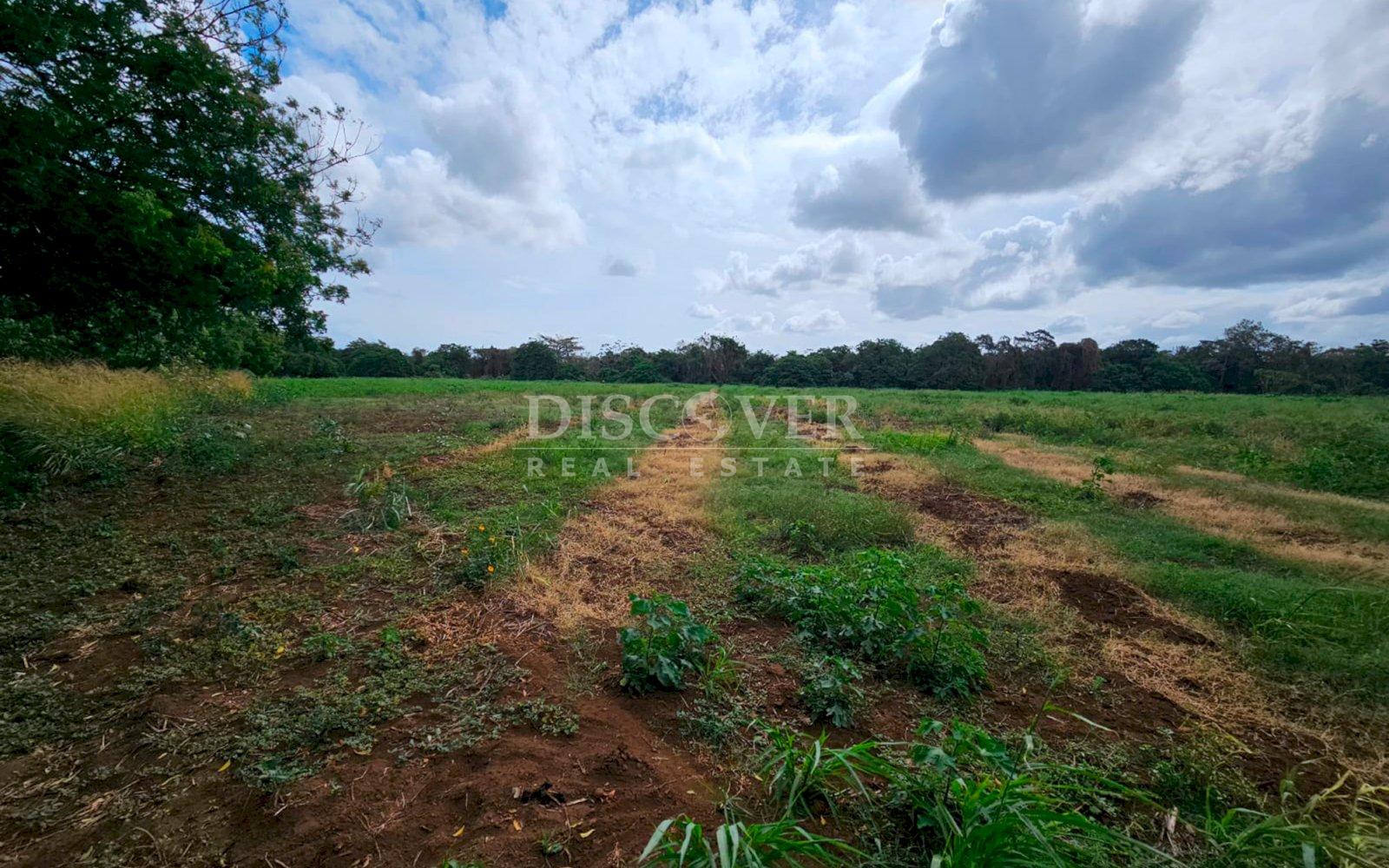 https://images.discovernica.com/propiedad/1600/ID14090_2.jpg