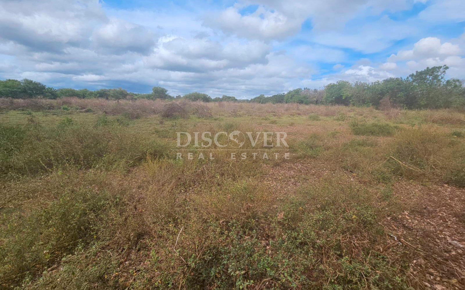 https://images.discovernica.com/propiedad/1600/ID14090_3.jpg