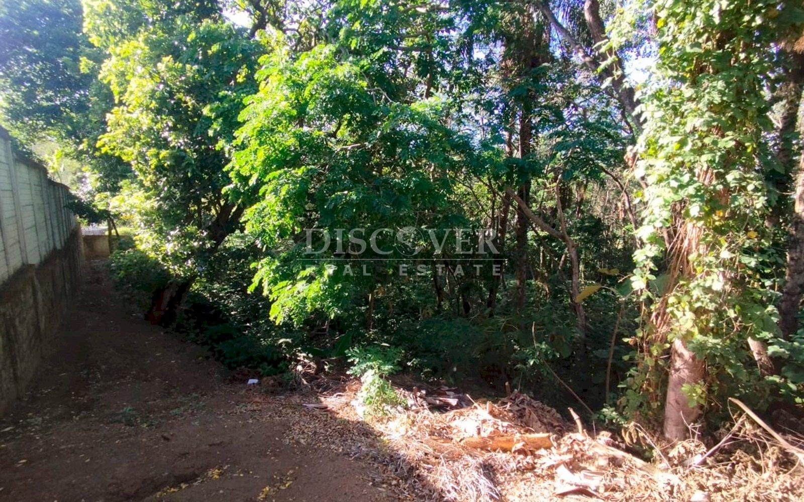 Imagen 6 de la galería