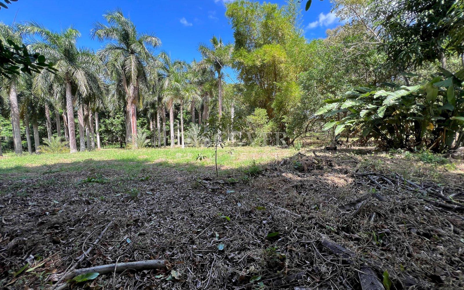 Imagen 2 de la galería