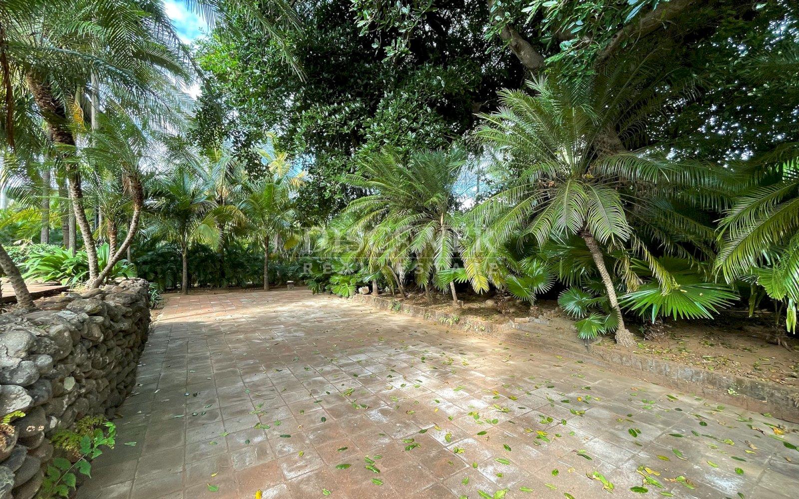 https://images.discovernica.com/propiedad/1600/ID14100_15.jpg