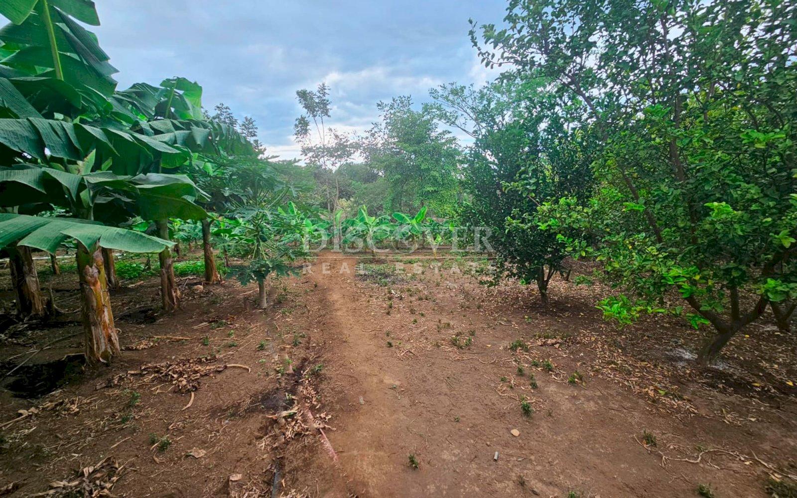  Agricultural land for sale in León