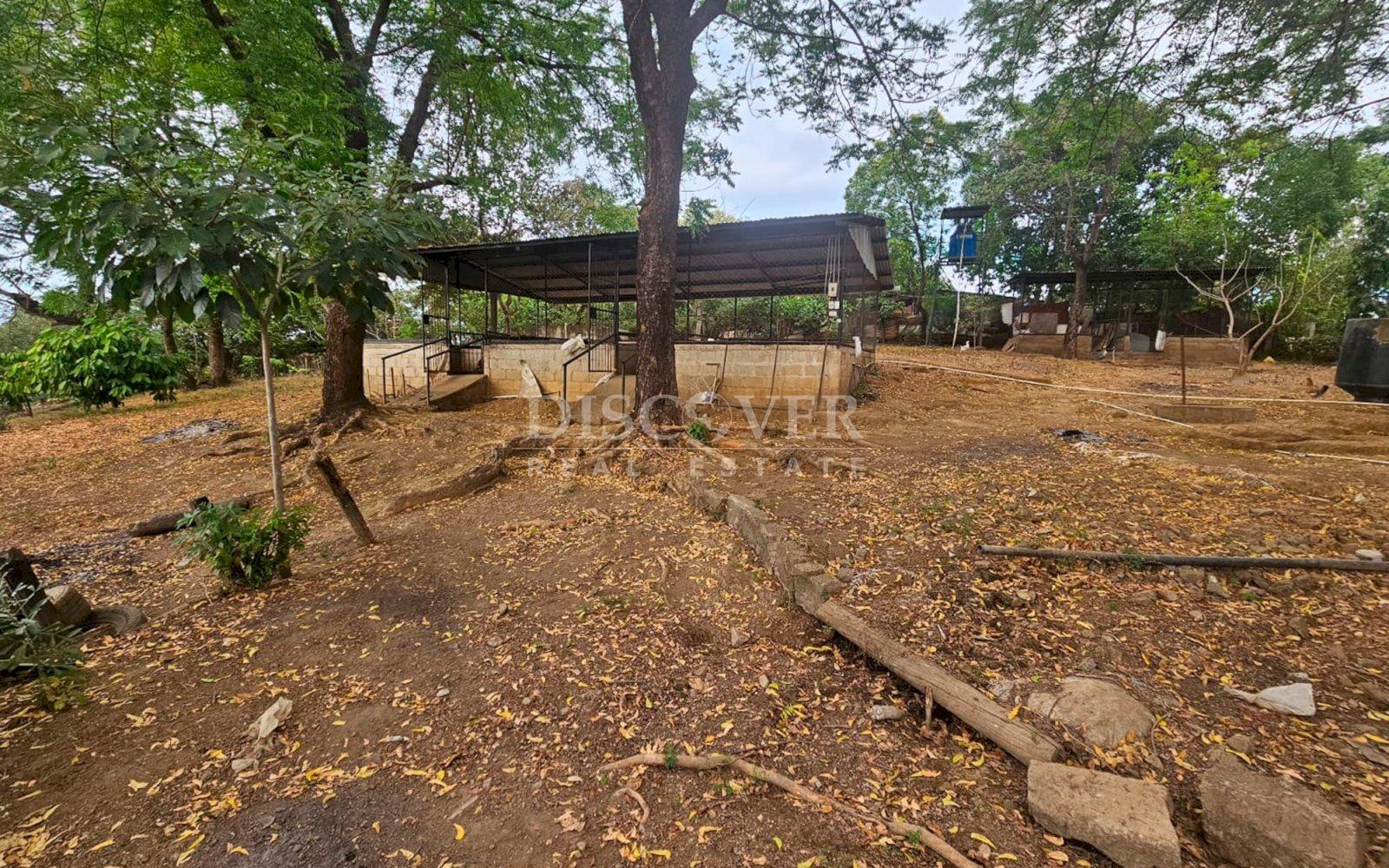 Agricultural land for sale in León