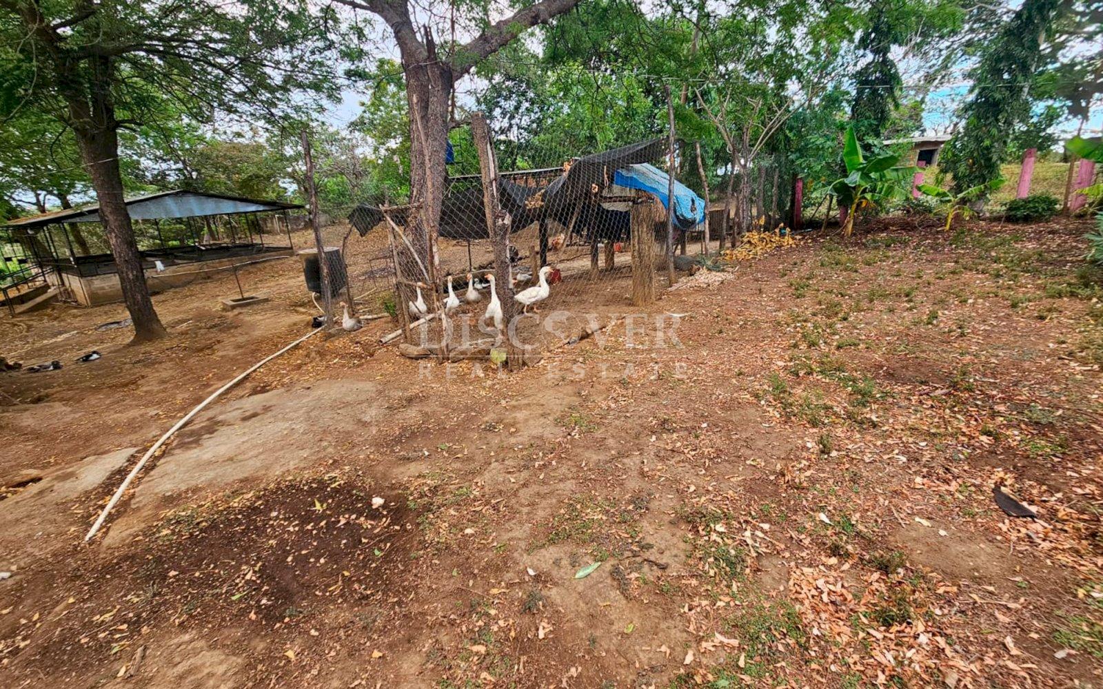  Agricultural land for sale in León