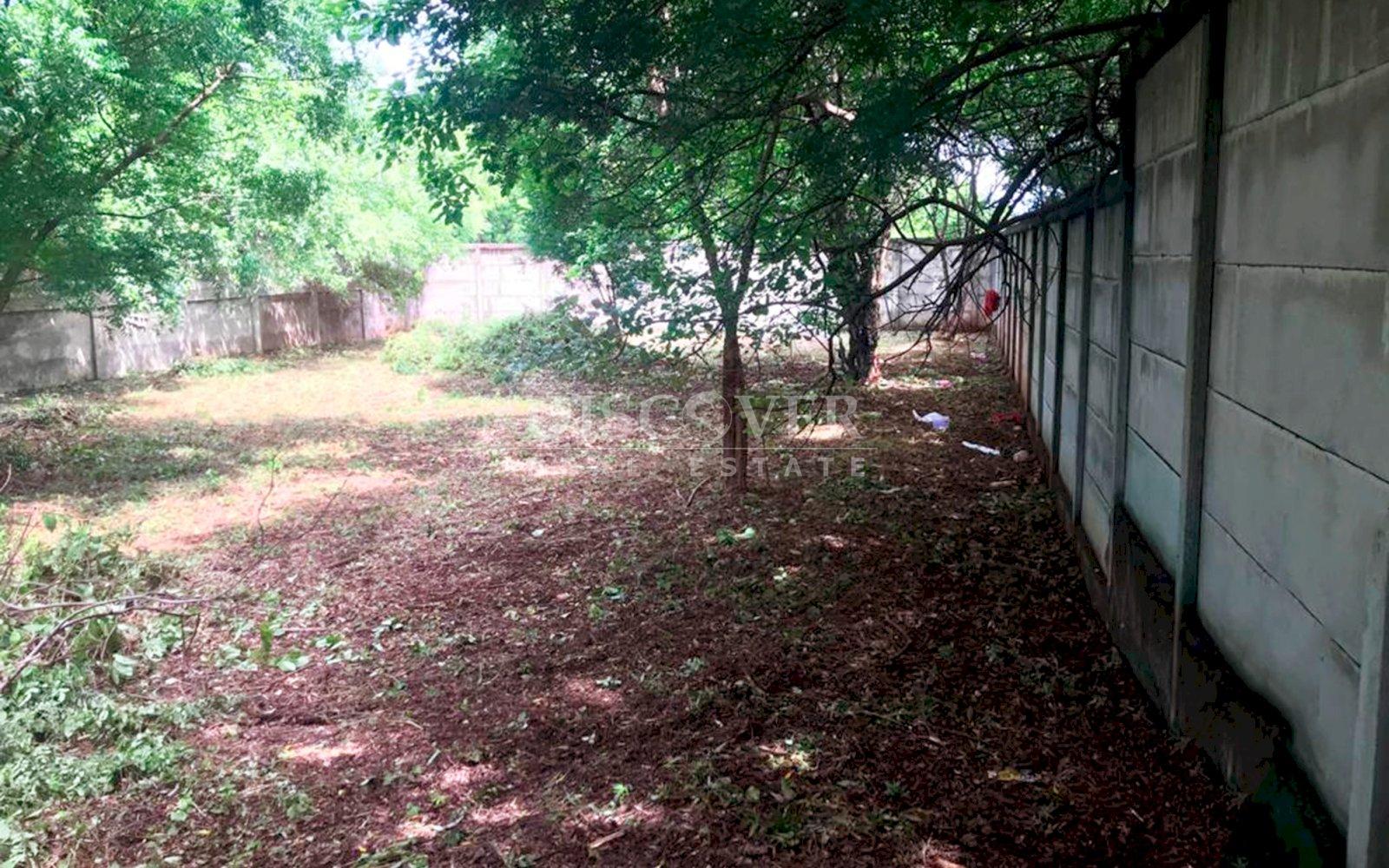 https://images.discovernica.com/propiedad/1600/ID14105_5.jpg