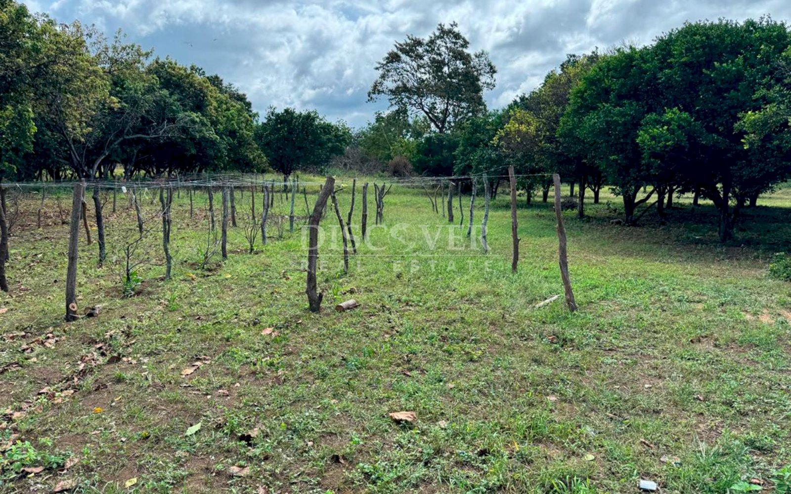 Large plot of land for sale in Ticuantepe 