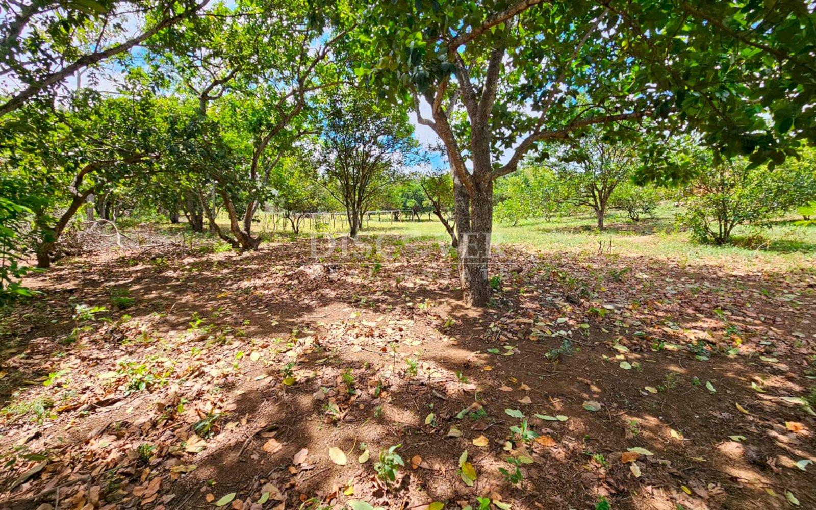 Large plot of land for sale in Ticuantepe 