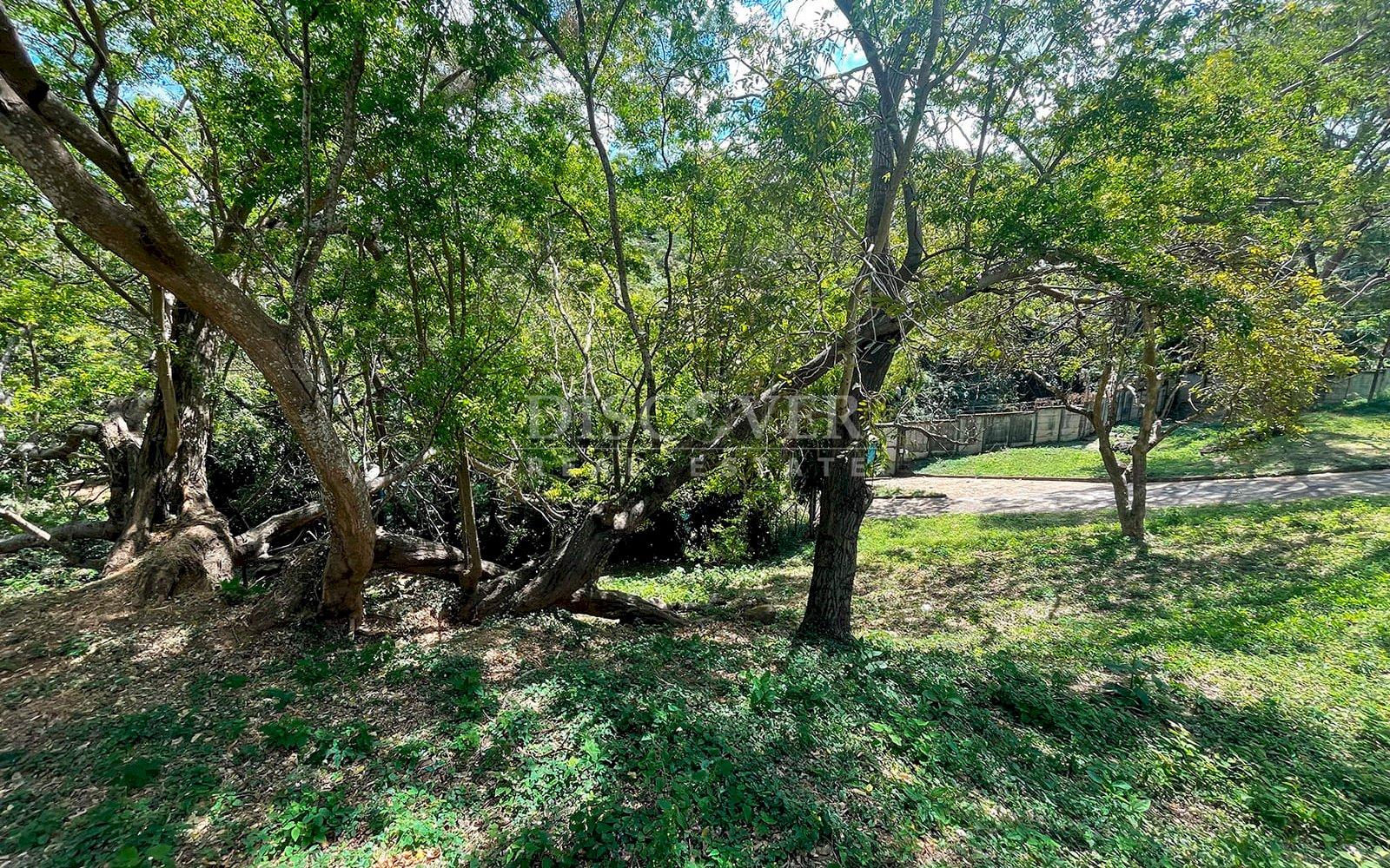  Lot for Sale in Villa Fontana 