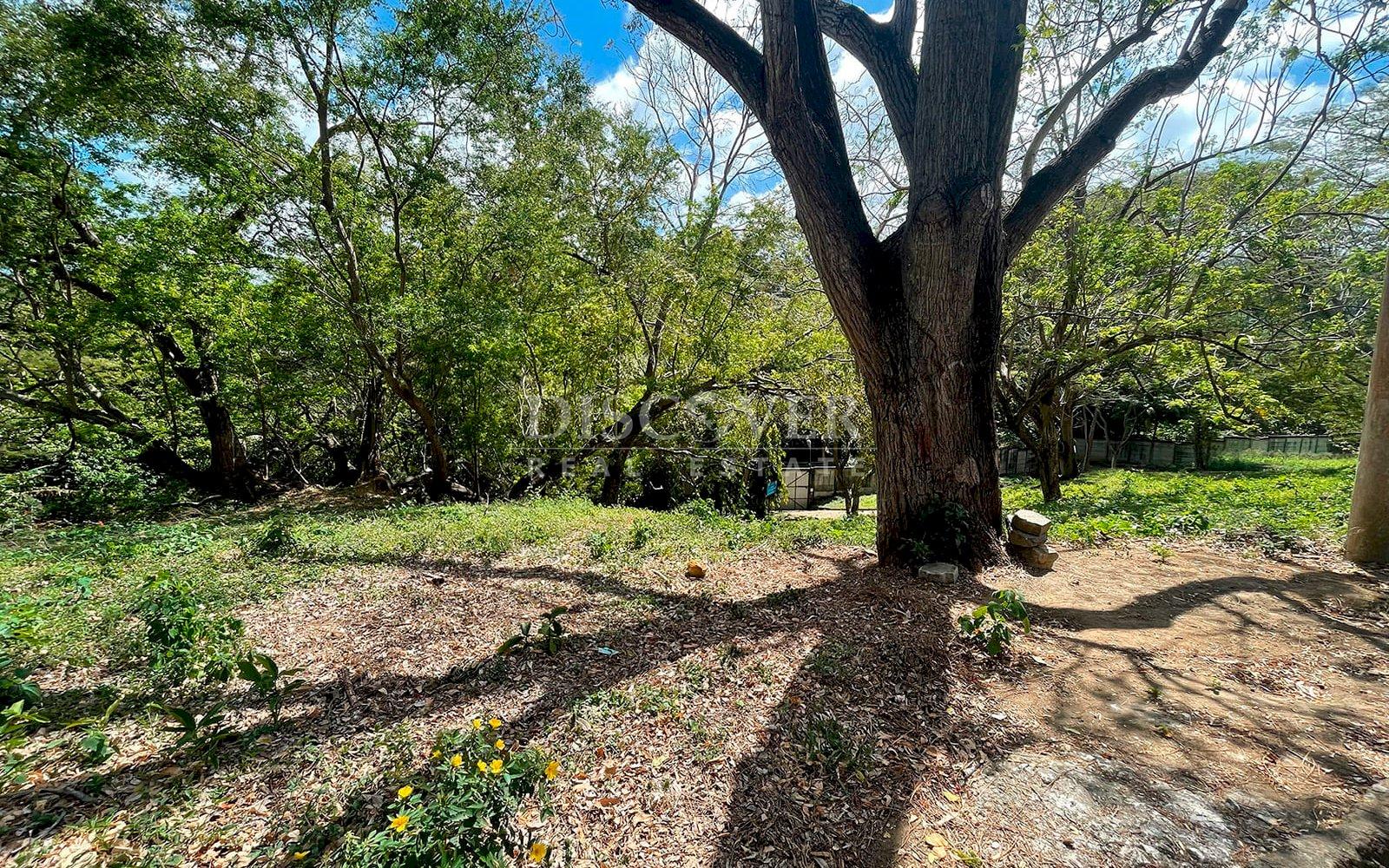  Lot for Sale in Villa Fontana 