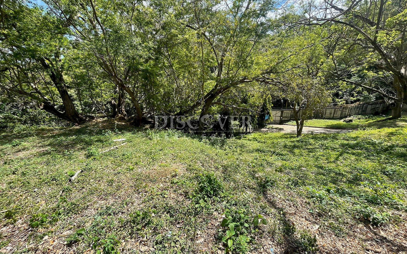  Lot for Sale in Villa Fontana 