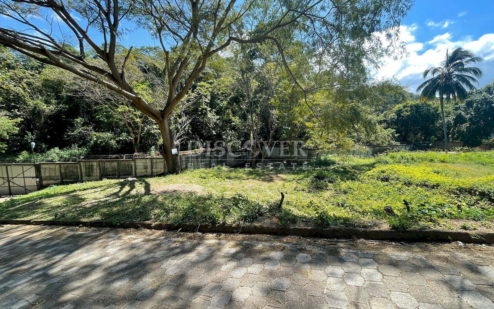 Imagen 1 de la galería