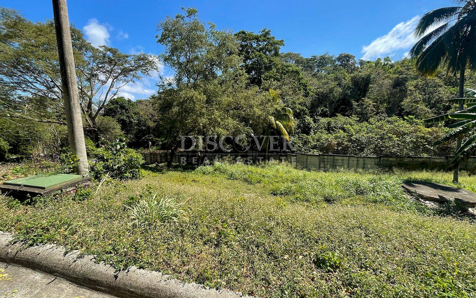 Imagen 4 de la galería