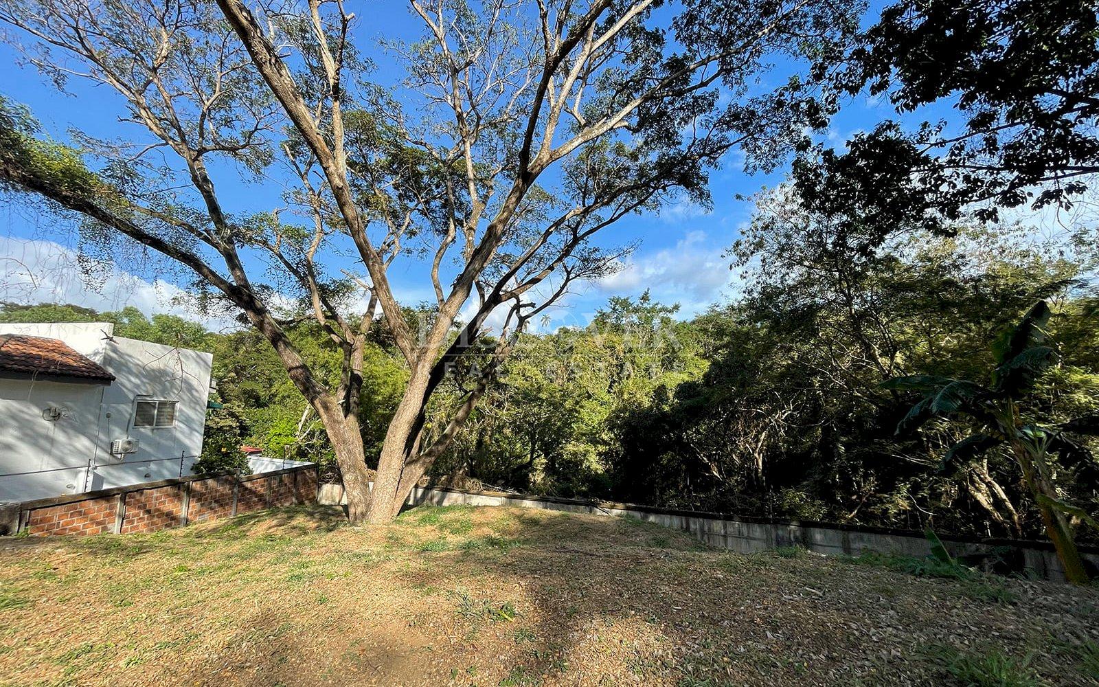 Imagen 3 de la galería