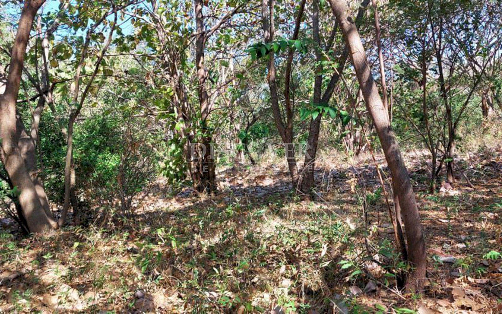  Large farm for sale in Carretera Nueva a Leon 