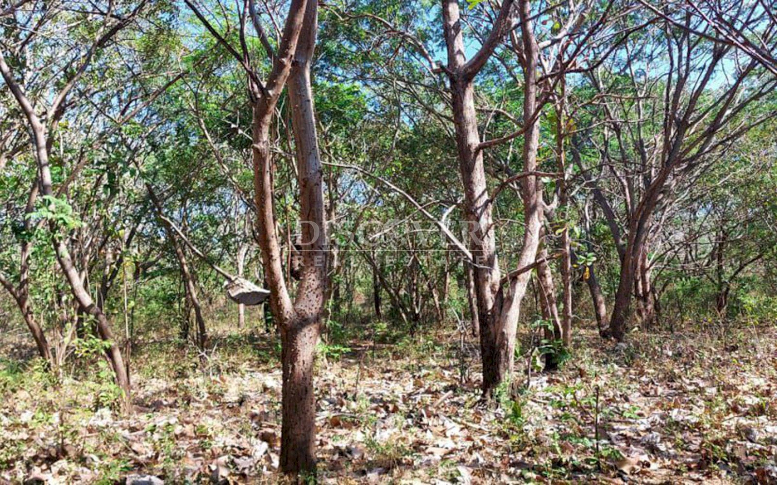  Large farm for sale in Carretera Nueva a Leon 