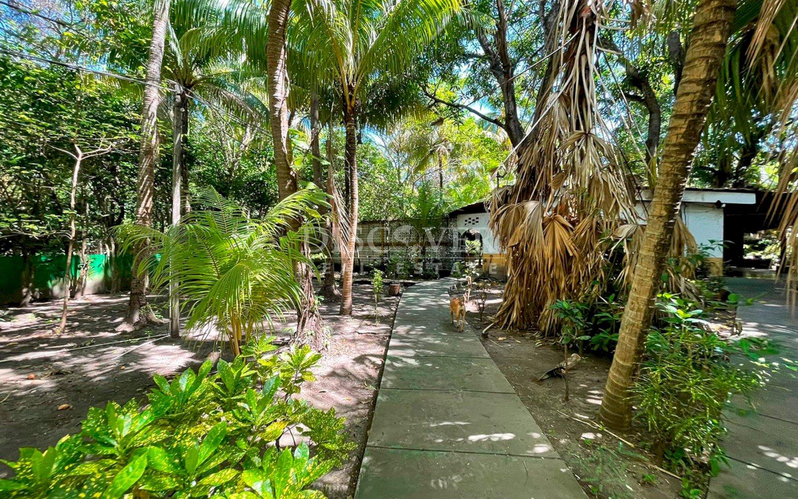  Casa Quinta with large yard for sale - Carretera Vieja a Leon