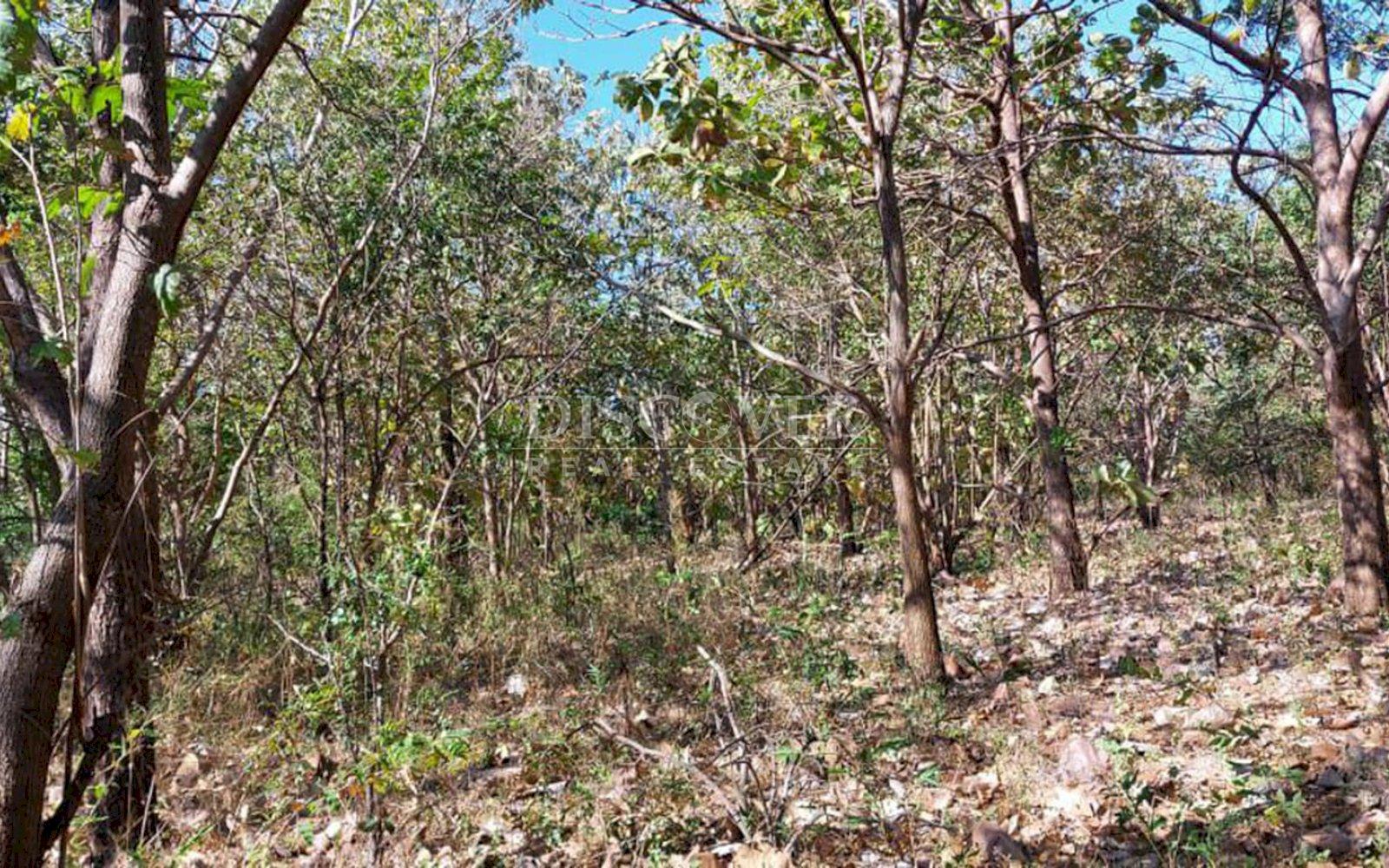  Large farm for sale in Carretera Nueva a Leon 