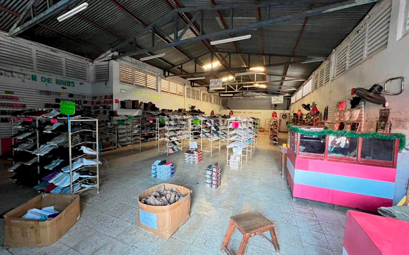 Imagen 4 de la galería