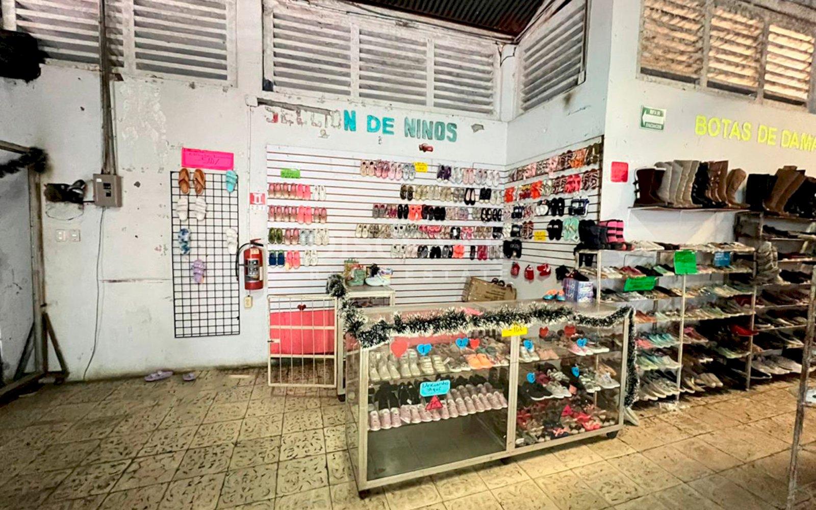 Imagen 5 de la galería
