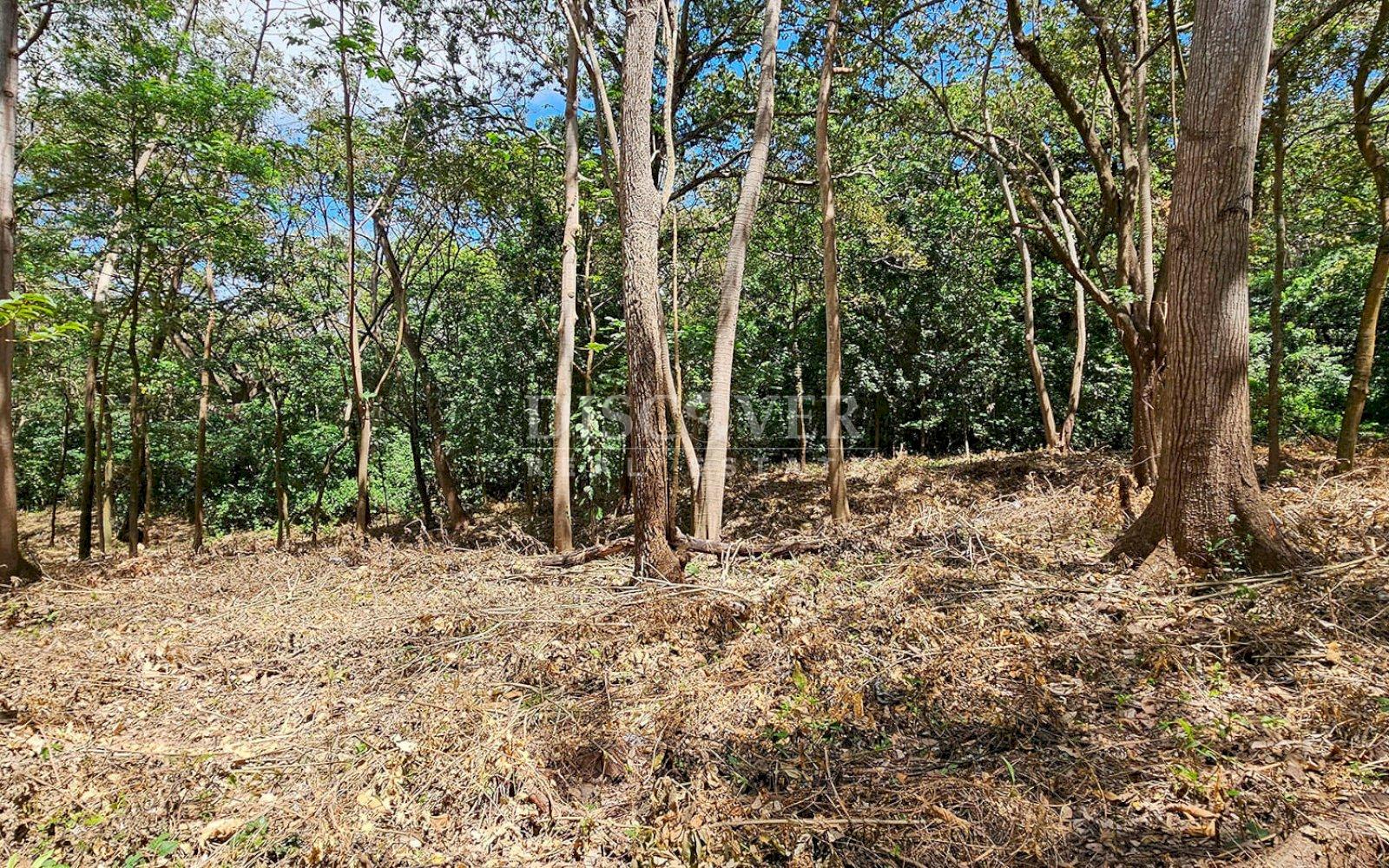 Imagen 2 de la galería