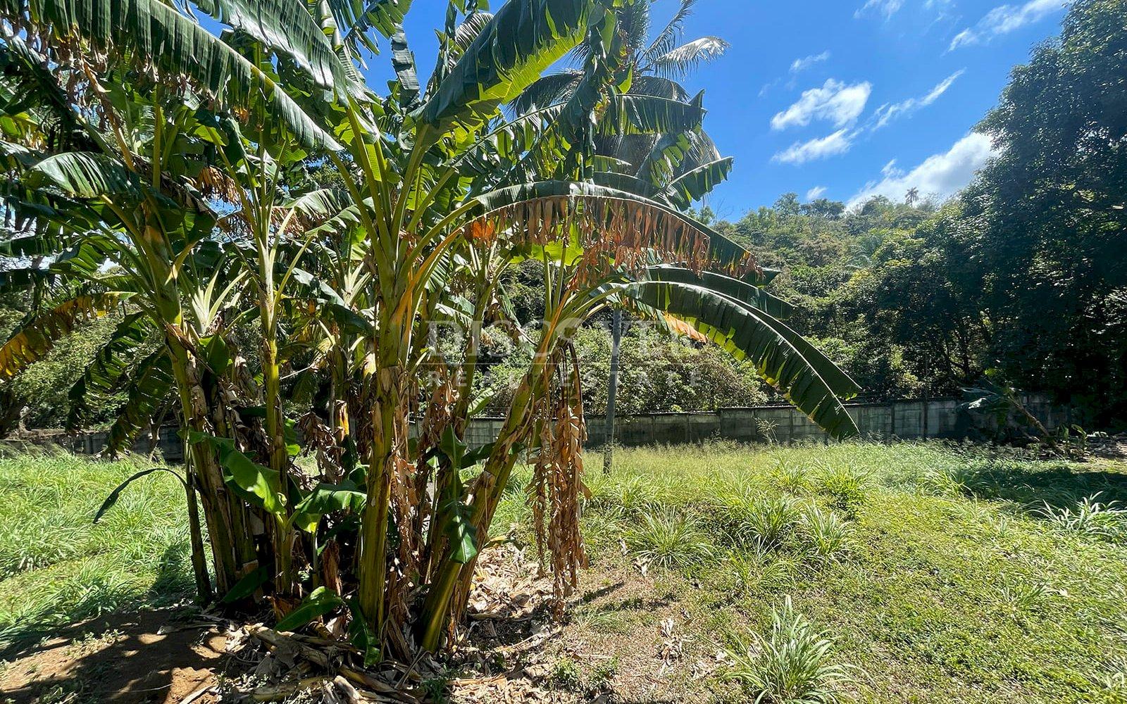  Lot for sale in Villa Fontana