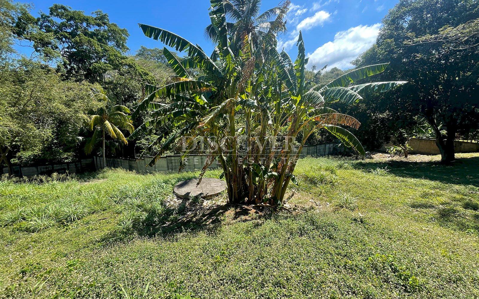  Lot for sale in Villa Fontana