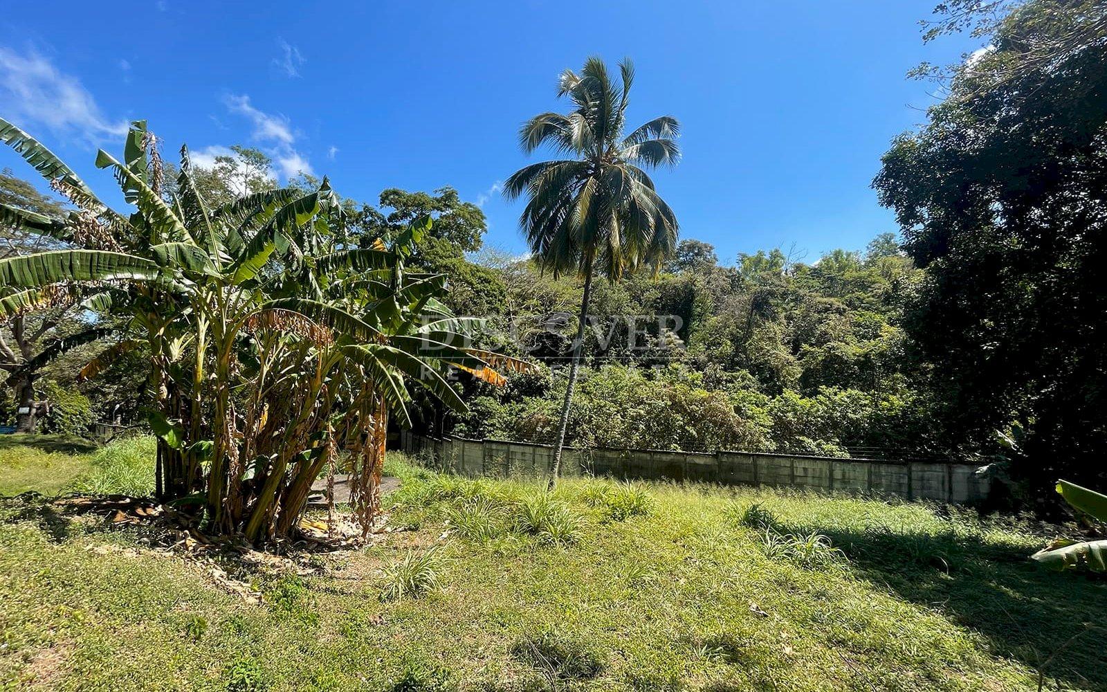  Lot for sale in Villa Fontana