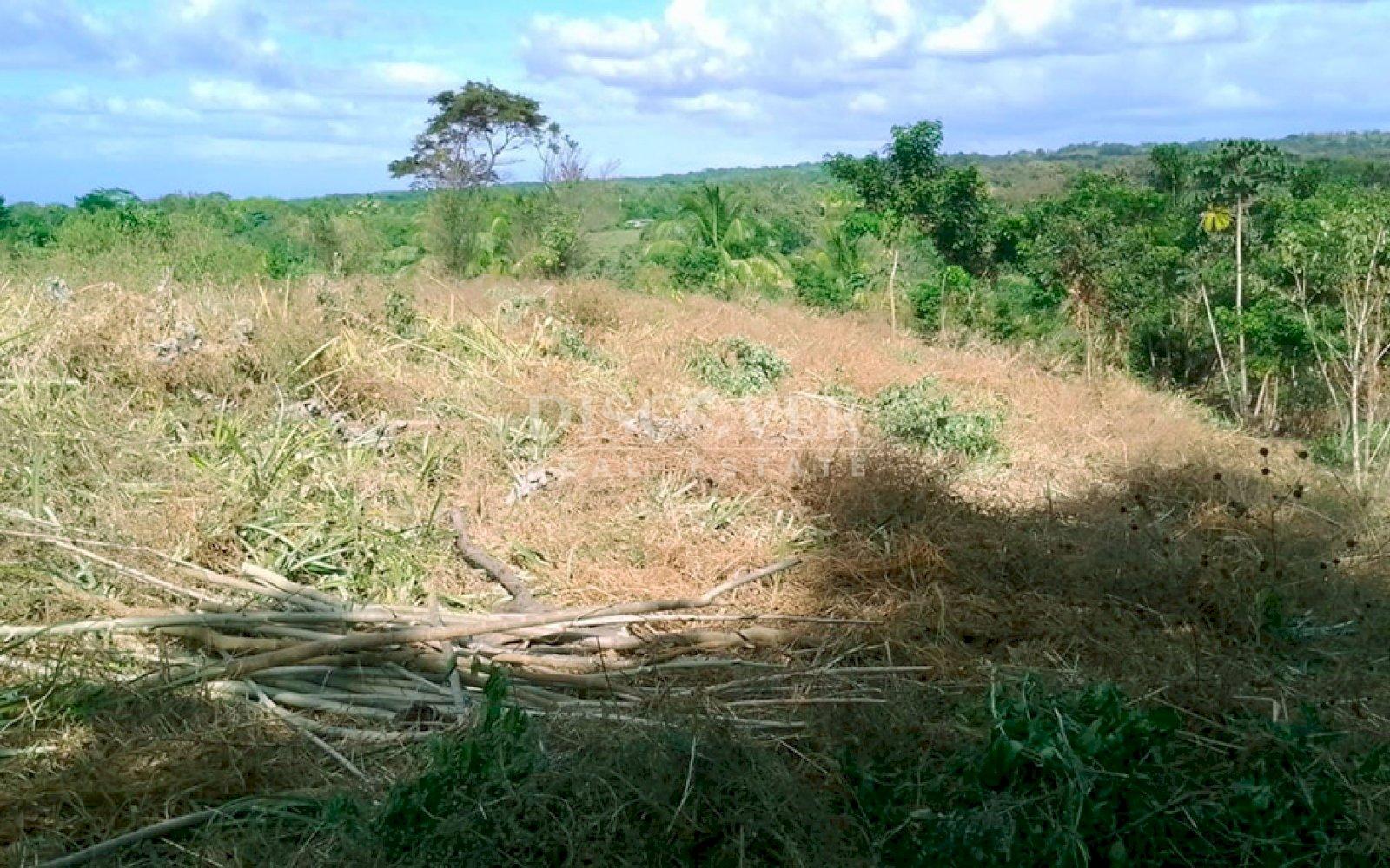 Imagen 5 de la galería