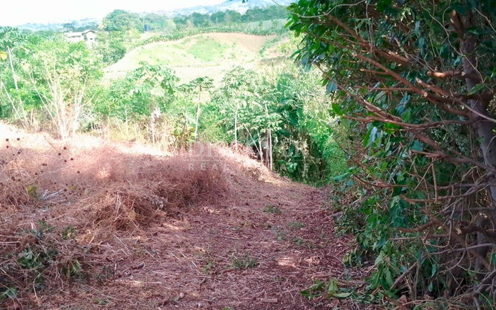 Imagen 4 de la galería