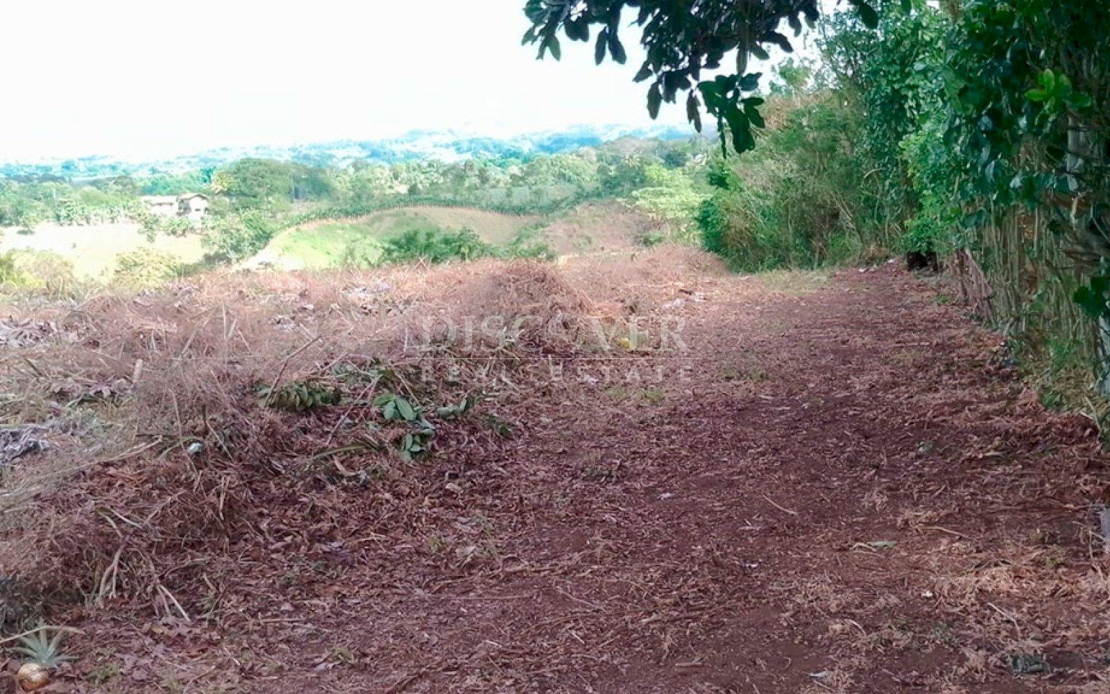 Imagen 3 de la galería