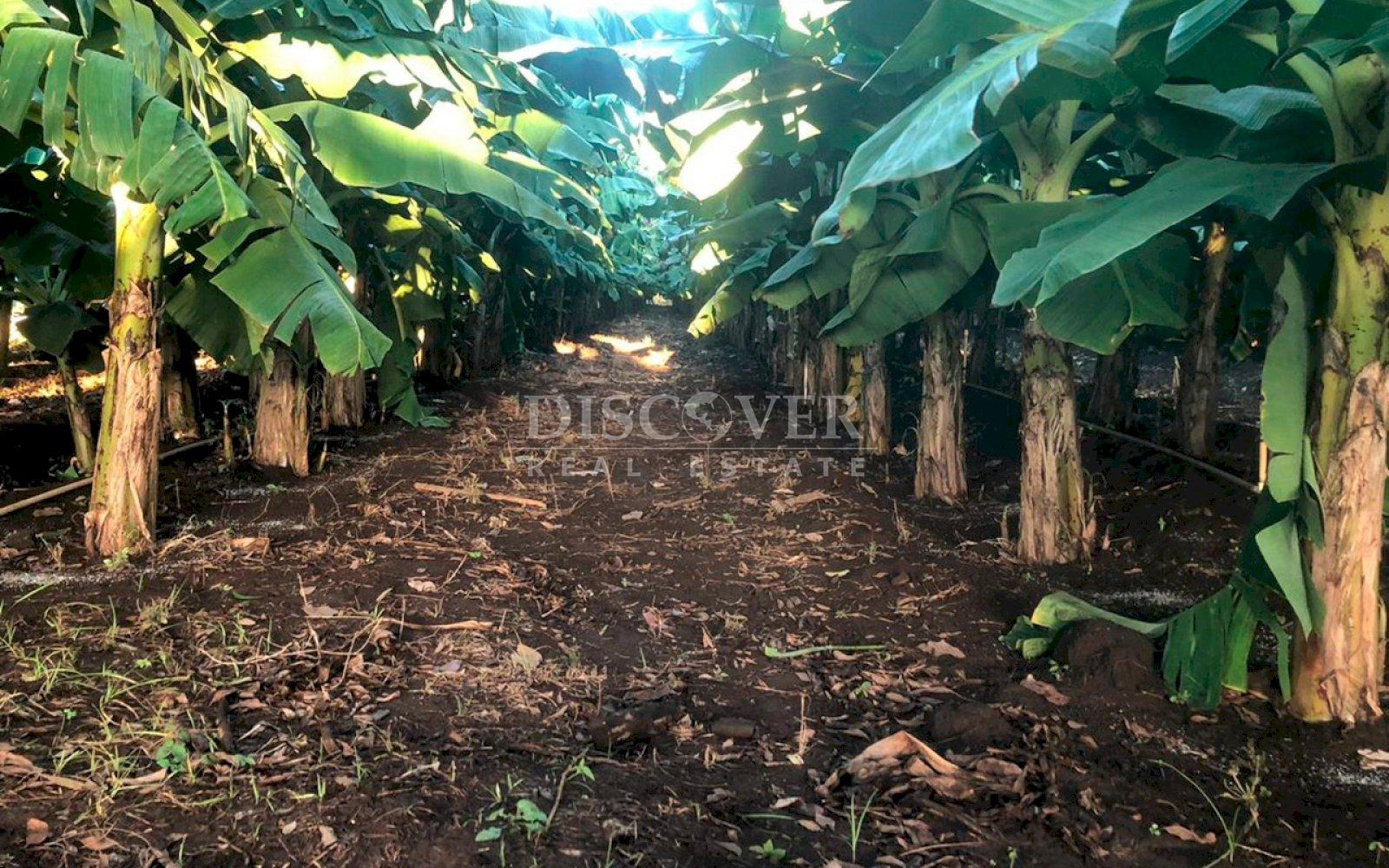 https://images.discovernica.com/propiedad/1600/ID14146_3.jpg