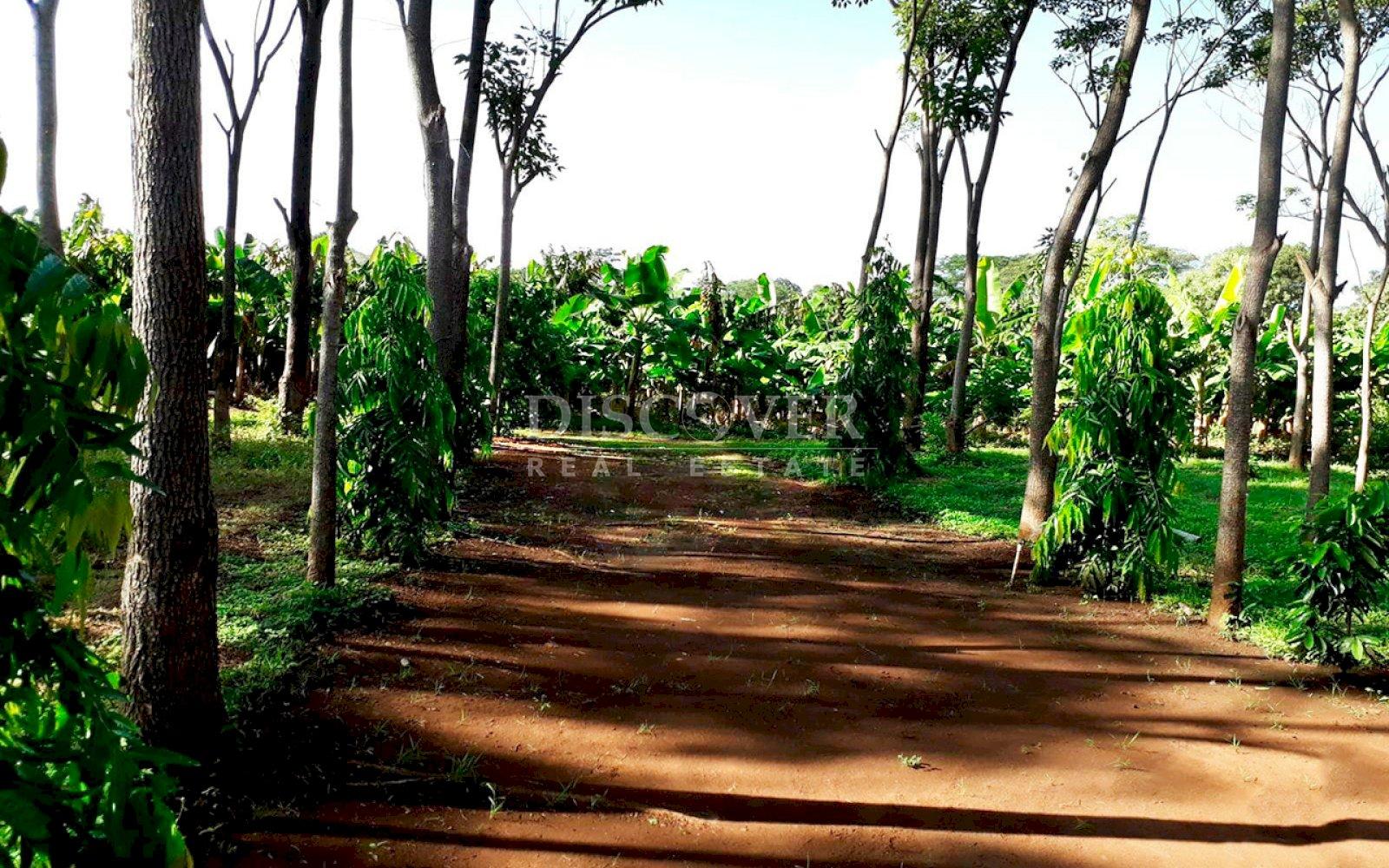 https://images.discovernica.com/propiedad/1600/ID14146_4.jpg