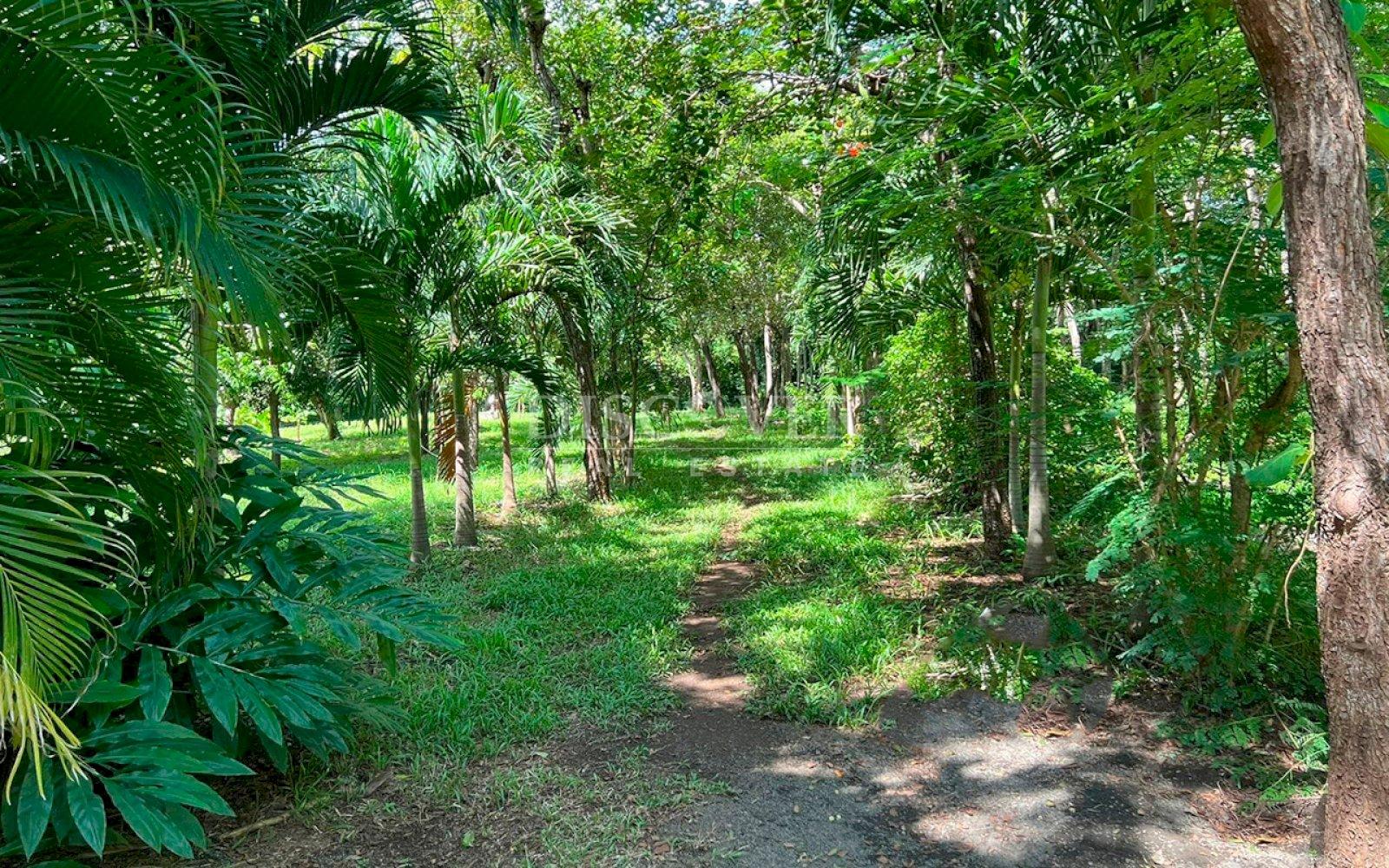 https://images.discovernica.com/propiedad/1600/ID14146_6.jpg