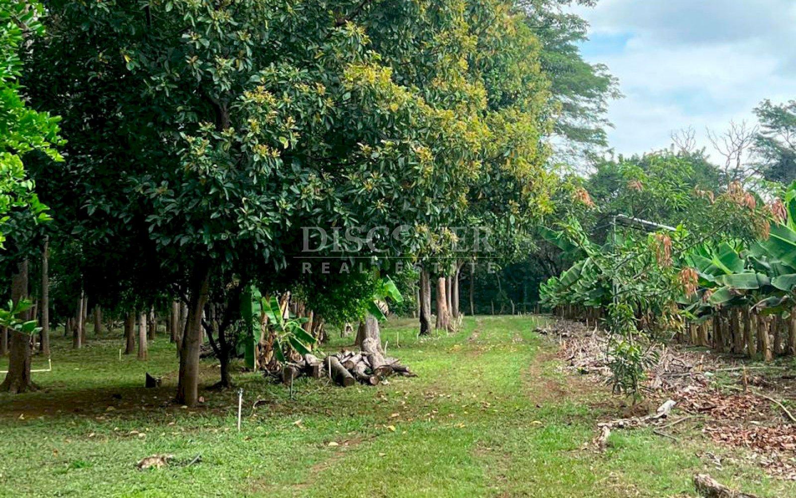 https://images.discovernica.com/propiedad/1600/ID14146_8.jpg