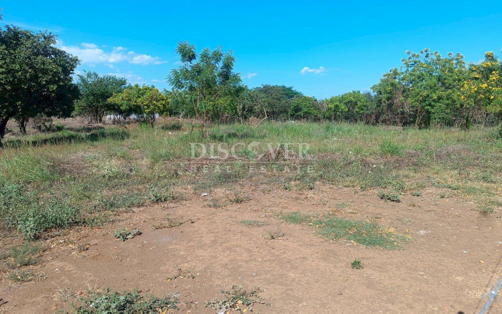  Land for sale close to El Mayoreo market