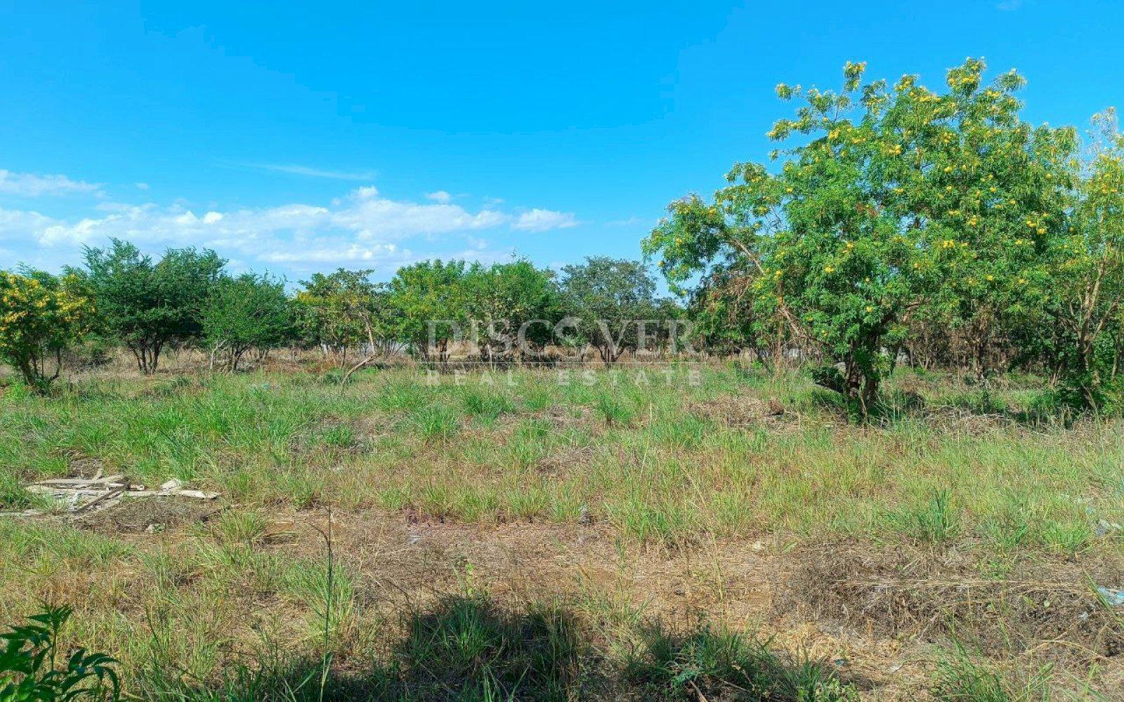 Land for sale close to El Mayoreo market